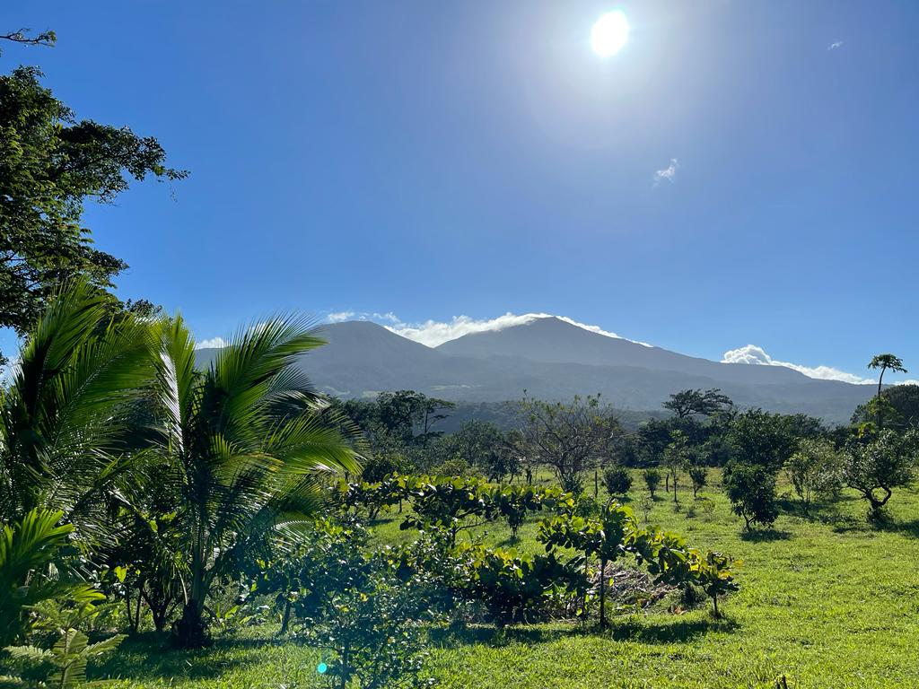 Lovely Studio Cabin on a 5,447 m2 Volcano View lot in Rio Naranjo