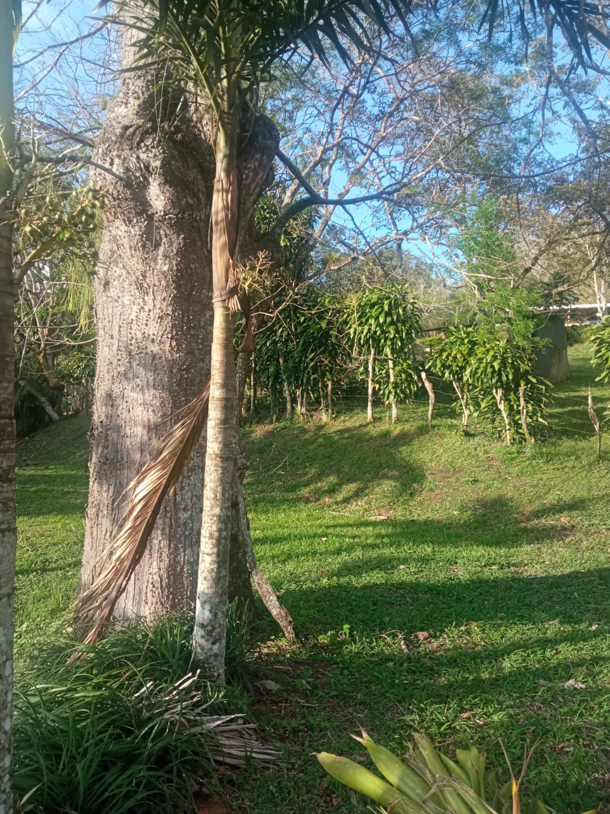 Beautiful, 1407 m2 (0,34 acres) Lot in Parcelas de Quebrada Azul, Tilarán