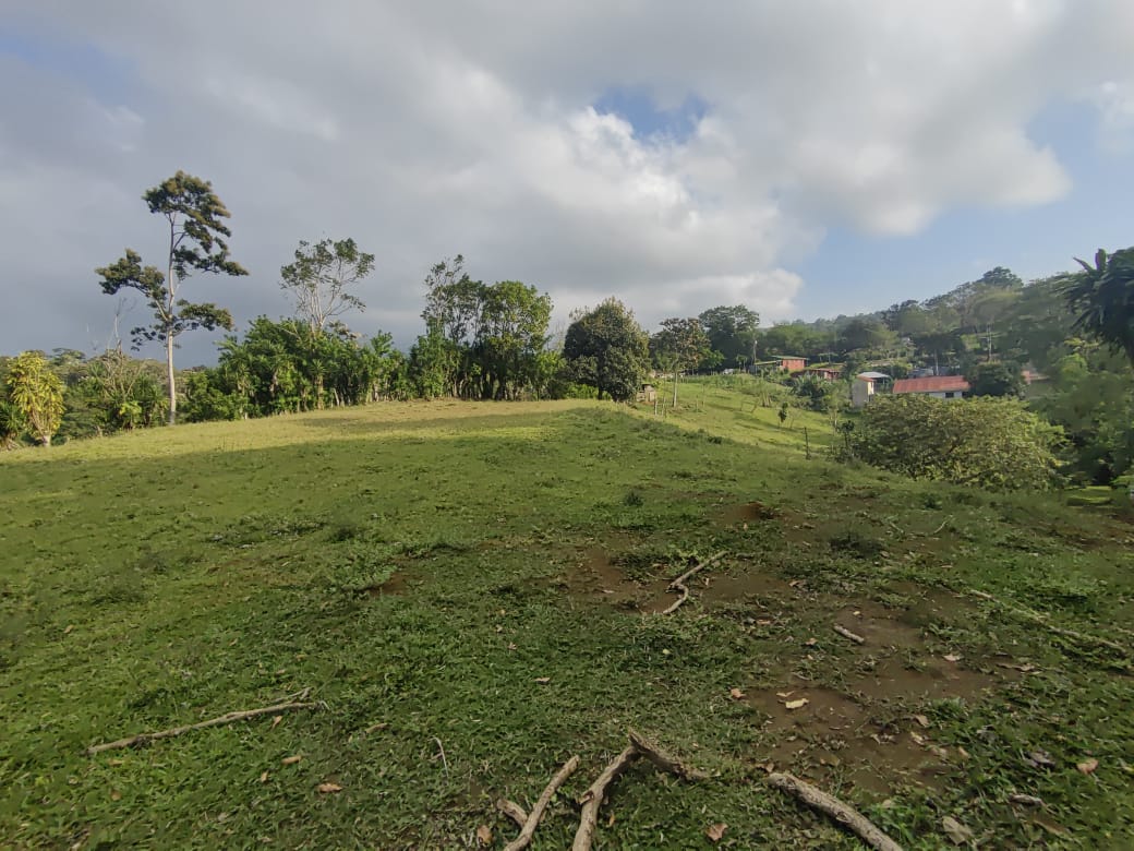 Beautiful Lot of 5461 m2 (1,34 Acre) in downtown Tronadora