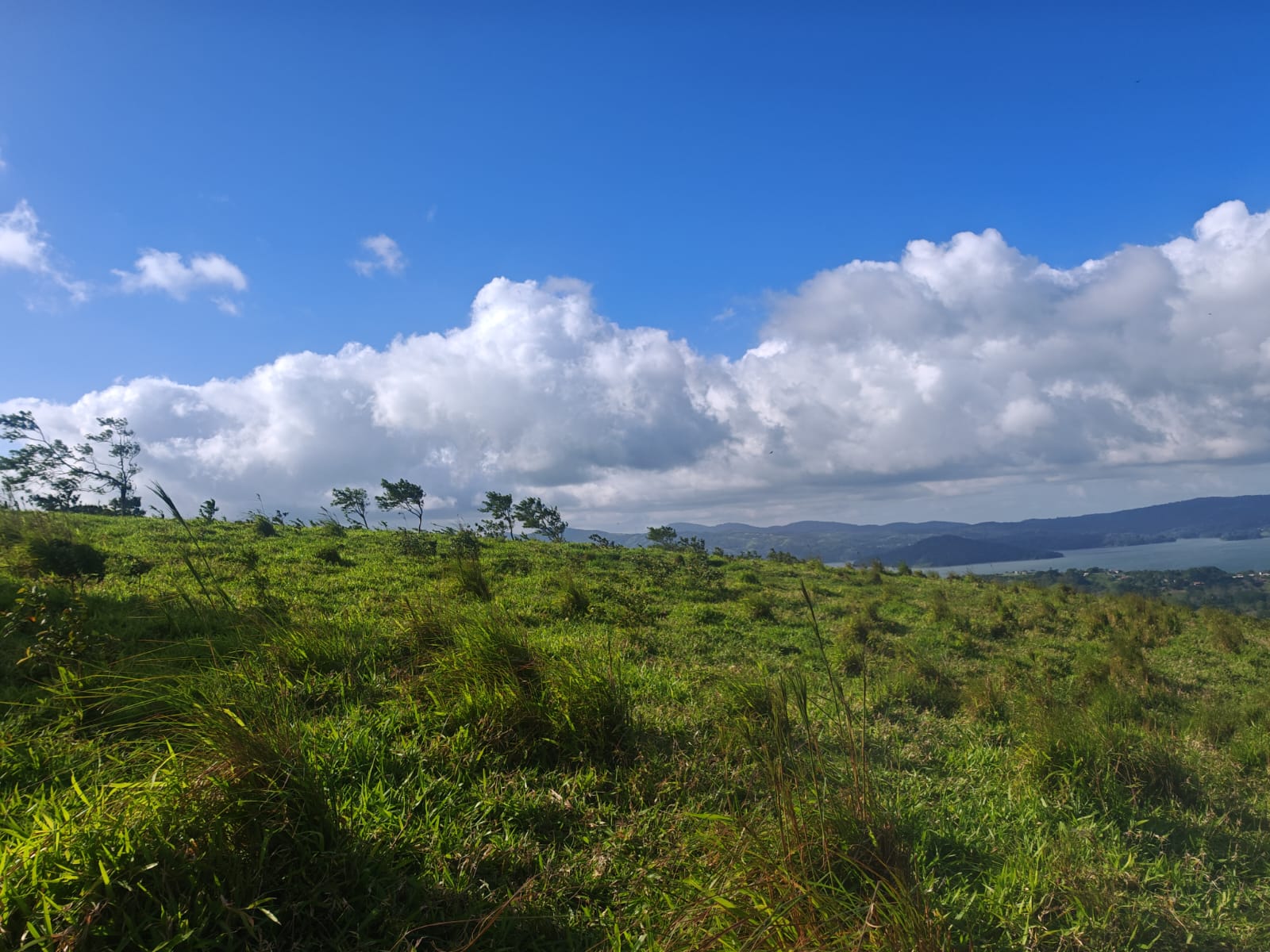 Beautiful Lot of 5642 m2 (1.39 Acre) with Lake View in San Luis 