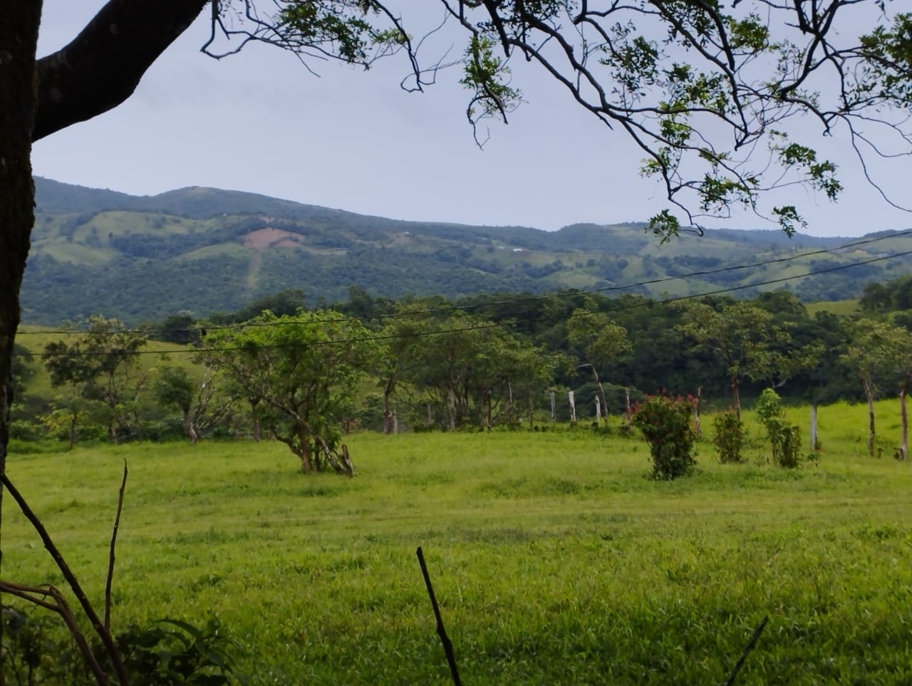 Expansive 30,229 m² (7.46 Acre) Lot w/ House & Scenic Views in Tierras Morenas
