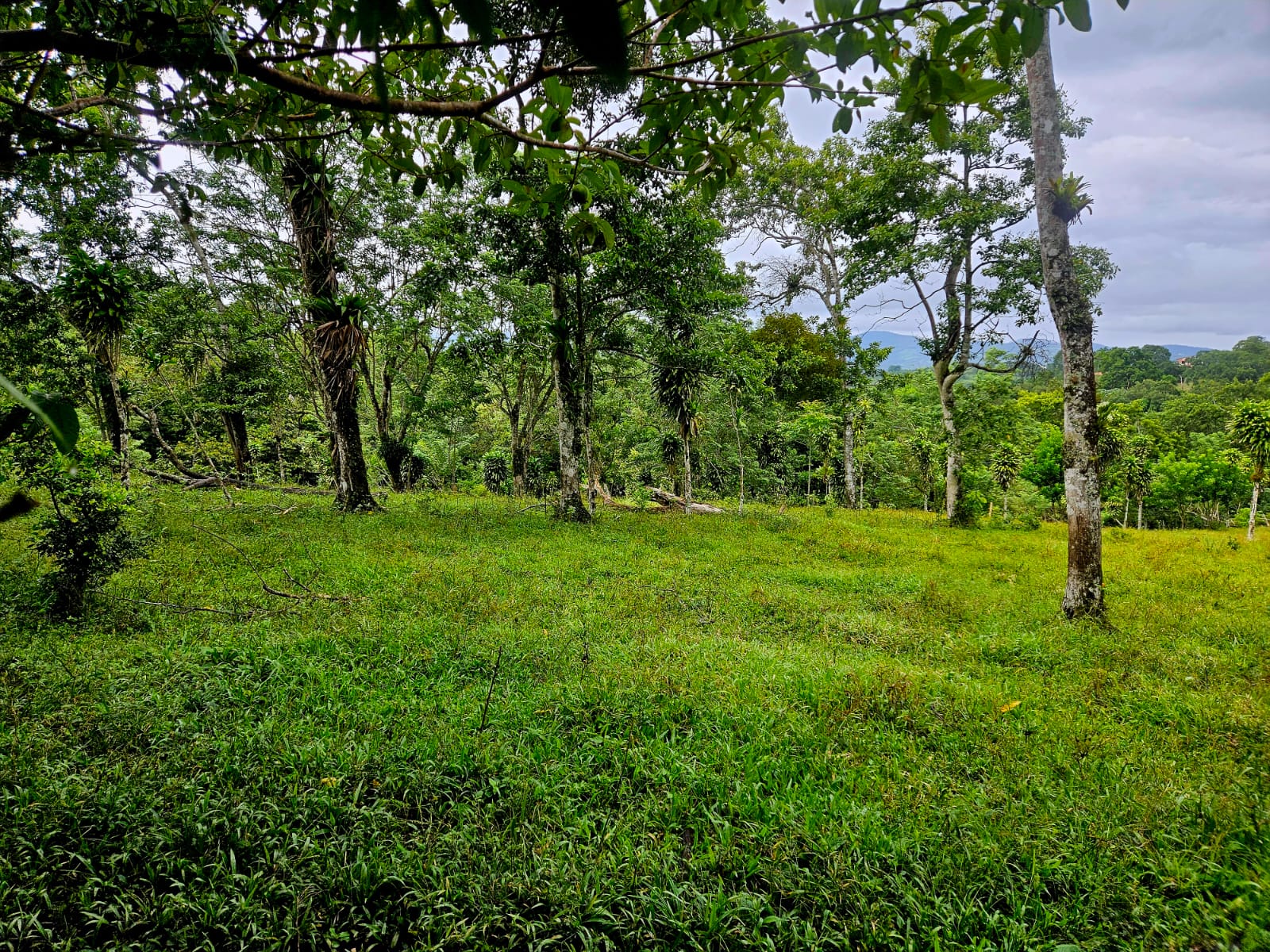 8,737 M2 (2.15 Acre) Lot with View  of Lake Arenal in Tronadora