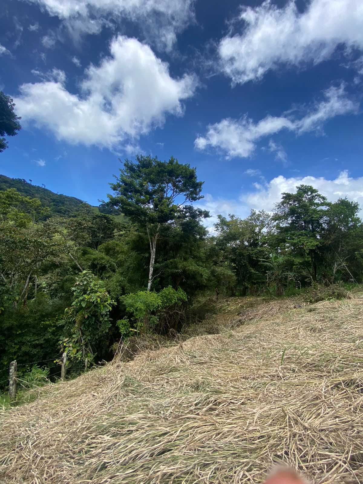 2744 M2 (0,18 acre) Building Lot with Creek In El Silencio, Tilarán