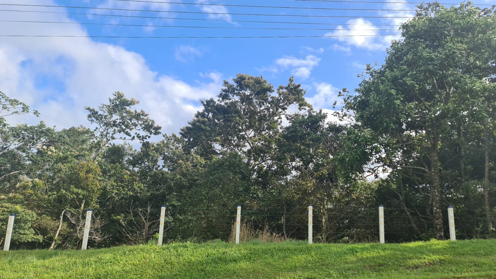 Beautiful Flat Lot of 1200 m2 Ready to Build in Nuevo Arenal