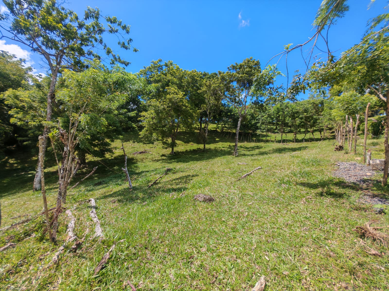 12,510 M2 (3.09 acre) LAKE VIEW Property with Volcano Views in Tronadora 