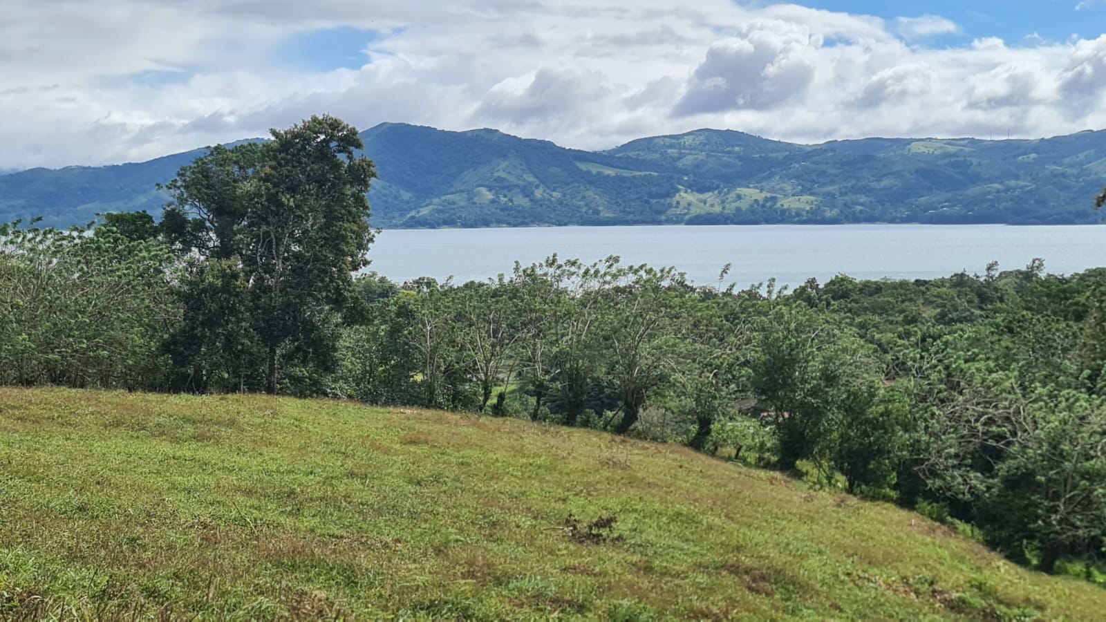 Fabulous, 5000 m2, Lake View Lot near Downtown Nuevo Arenal