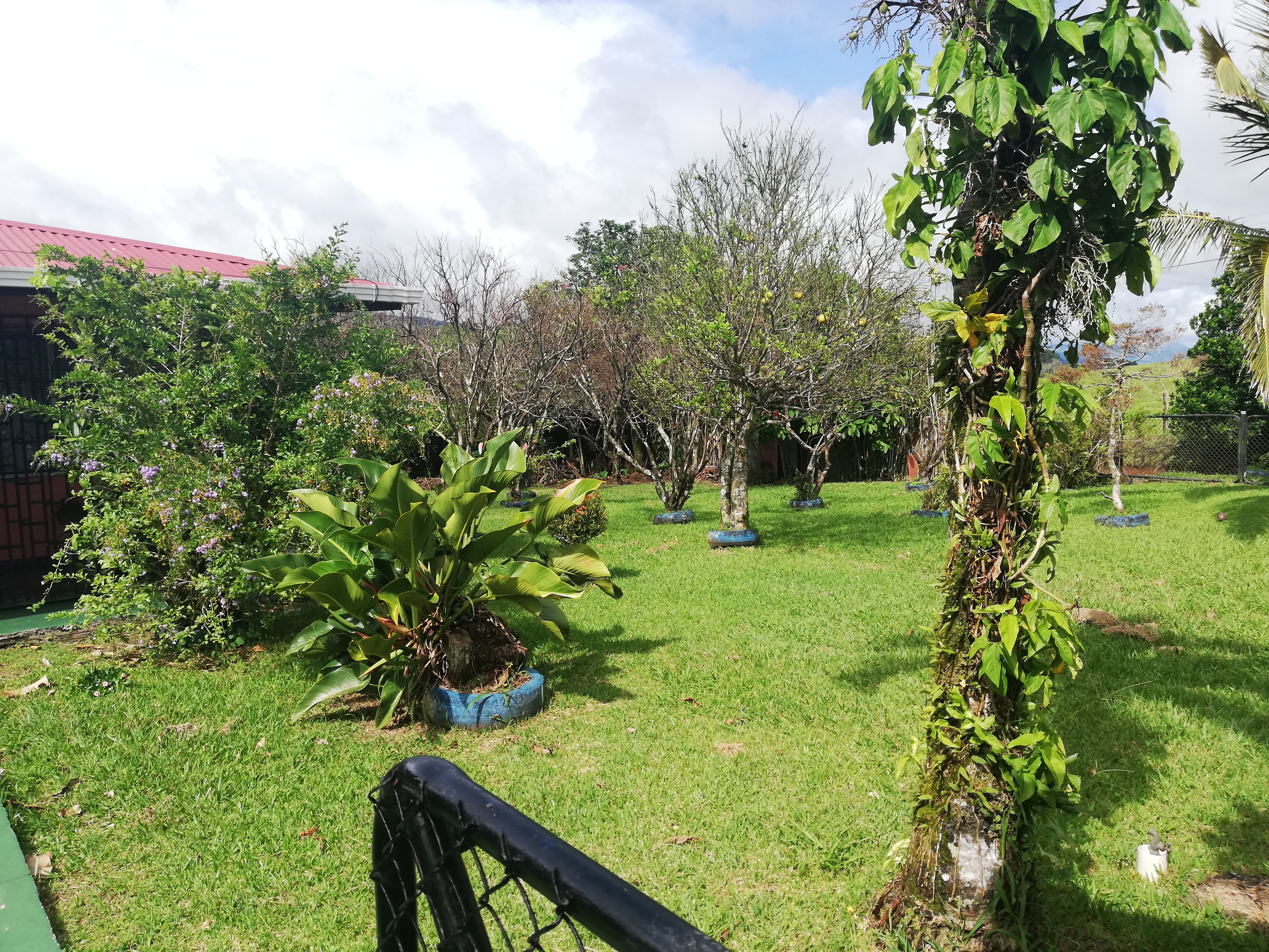 3 Bedroom 1 Bathroom Tico Home On Beautiful, Flat, 764.45m2 Lot In Sabalito 