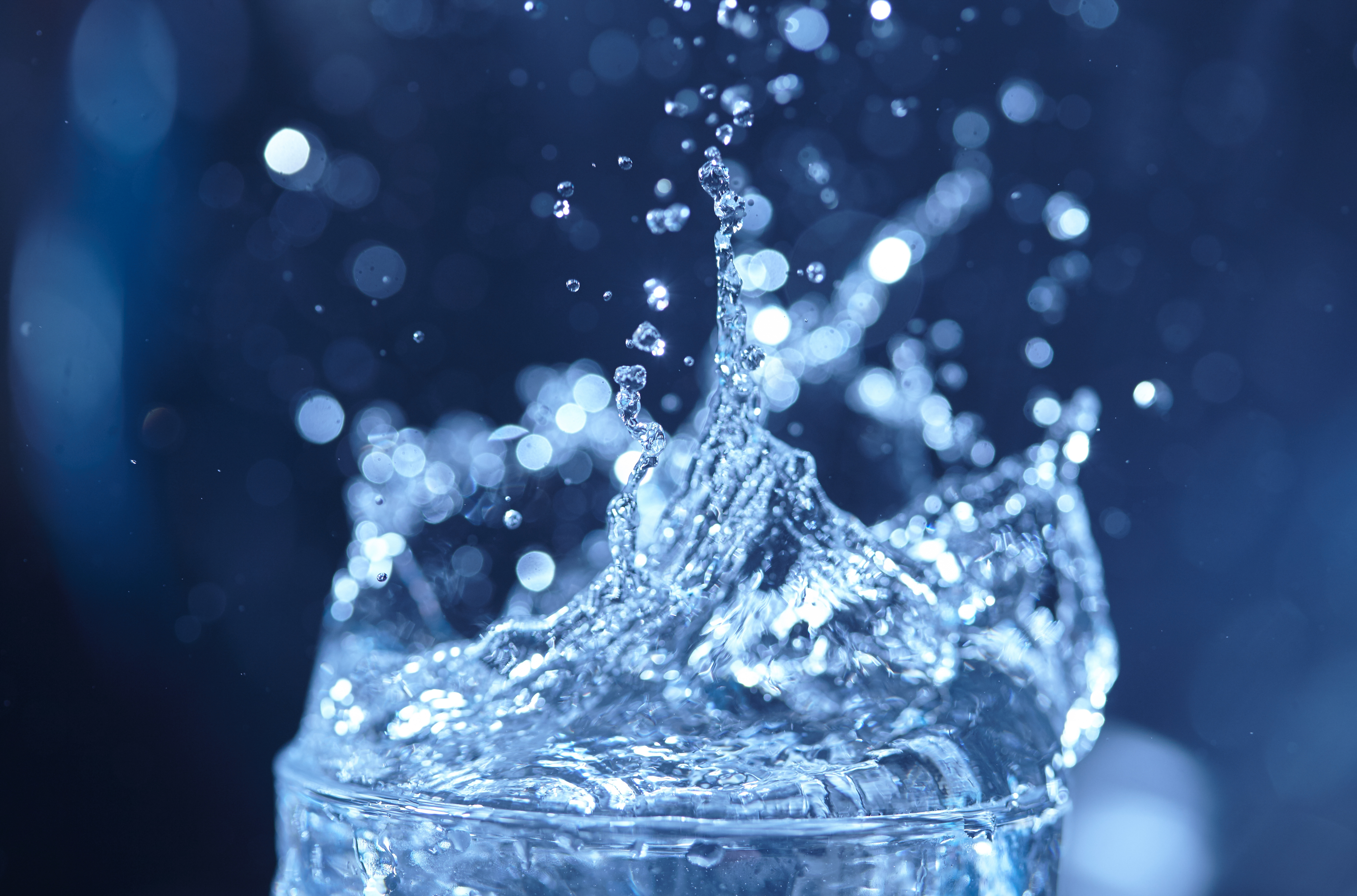 AdobeStock_111663623