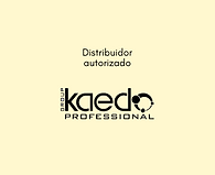 Distribuidor autorizado.png