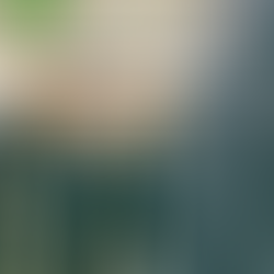 October Ceremonial Divisions - Recap (25-OCT-07)