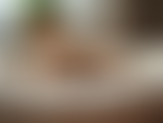 The Ultimate Guide to Tweedle Pet Products: Quality and Care for Your Pets