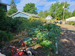 Historic-Montclair-Community-Garden-20260730_082812