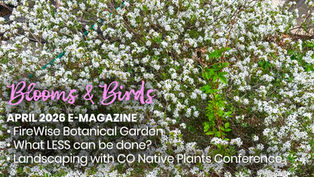 Blooms & Birds - Colorado Gardener's April 2026 E-Magazine