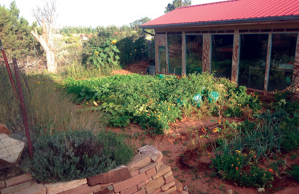 Dirt as Mulch in Colorado Gardener