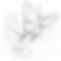 Butterfly-drawing.jpg