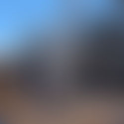 Is there a wrong time to trim trees?