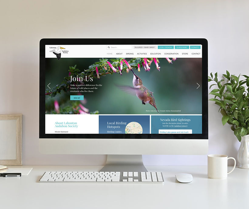 Audubon-Website-Designer-Best-Wix-Websites.jpg