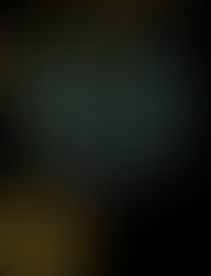 Film Festival Guide Designer