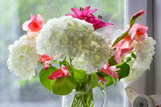 Make Fresh Cut Flowers Last