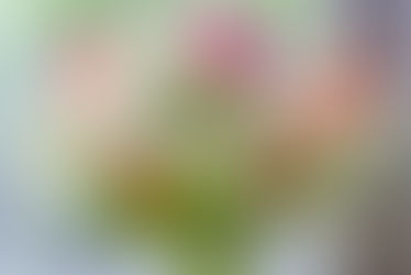 Make Fresh Cut Flowers Last