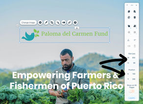 Wix Web Designer Tip: Toolbar