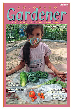 Editor's Letter: Late Spring 2021