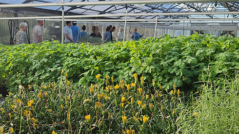 Greenhouse tour 2025 by Lee Hopkins 20250508_180052.jpg