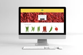 Shopify Website Designer