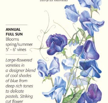 Botanical Interests: Seeds of Happiness