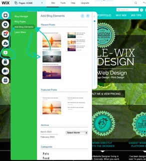 Adding Wix Blog Elements to your Website