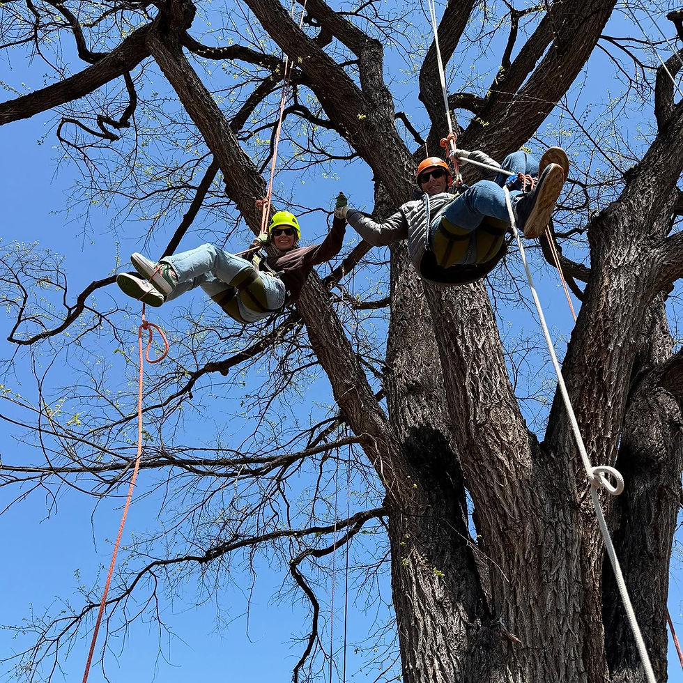 Earth & Arbor Day Event at Washington Park