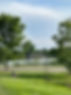 Ruth Neubauer -Walking the park.jpeg