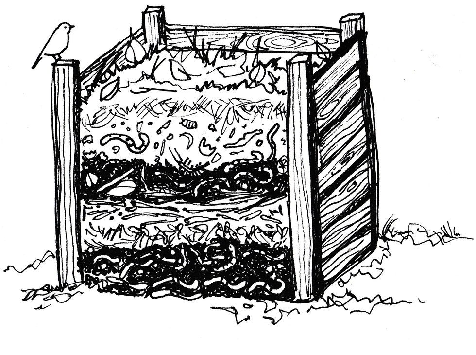 Garden Illustration of Compost Bin