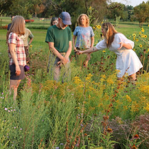 Mount Vernon Garden Tour 2025 IMG_6667.JPG
