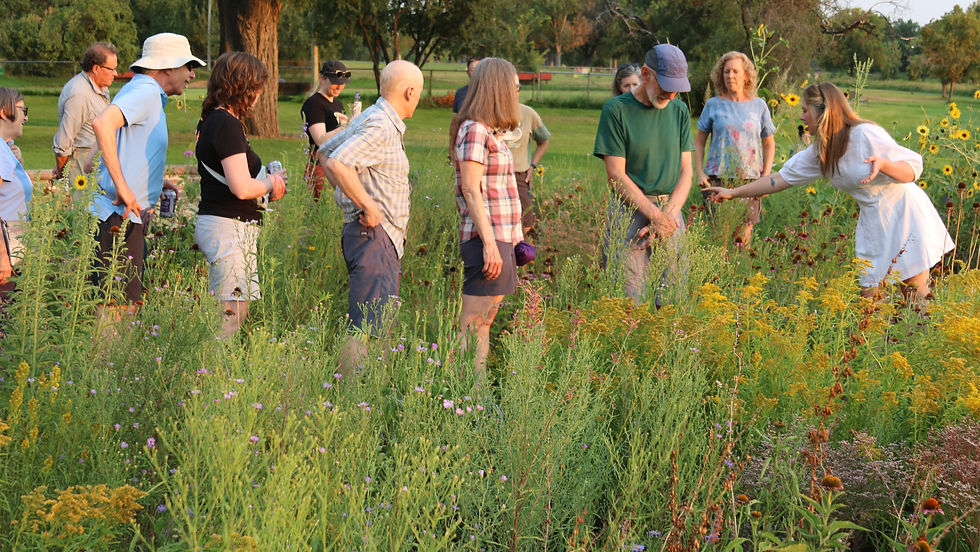 Mount Vernon Weekly Volunteer Day