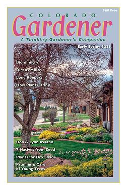 Editor's Letter: Spring 2021