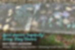 April showers (hopefully) bring May Flowers - May 2026 E-Magazine: Water-Wise Cutting Garden • Growing Food • Plant Sales