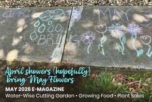 April showers (hopefully) bring May Flowers - May 2026 E-Magazine: Water-Wise Cutting Garden • Growing Food • Plant Sales