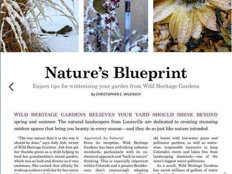 Native Plant Landscaping in Boulder - Nature's Blueprint