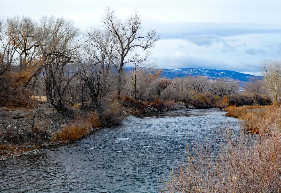Cottonwood Park - Photo by Lori Bellis