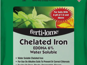 What is chelated iron?
