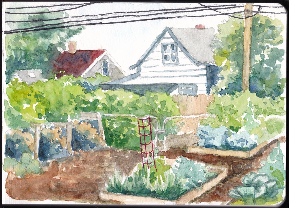 Garden illustrator - Community Garden Watercolor