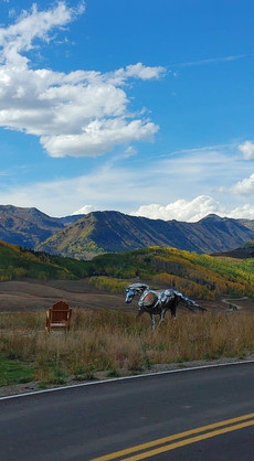 Chrome Horse in CB by Sean Guerrero