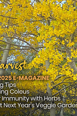 October 2025 E-Magazine