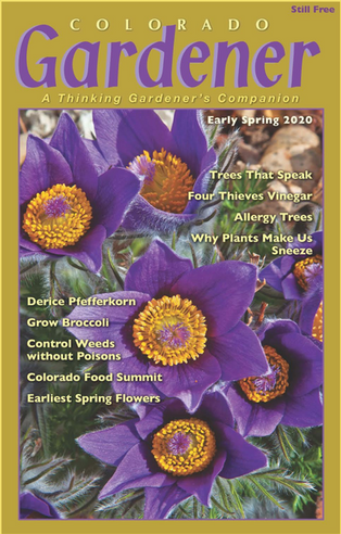 Editor's Letter: April 2020