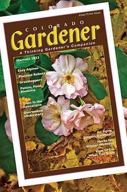 Editor’s Letter: Harvest 2023