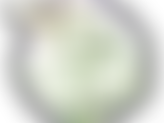 Tegeticula yuccasella, Yucca Moth