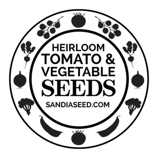 Wix Designer Blog Web Design Graphic Design Tips Picklewix