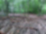 backdrop-1-e1585099405556.jpg