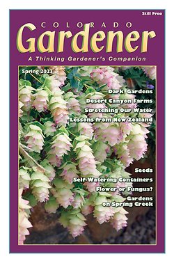 Editor's Letter: Spring 2023
